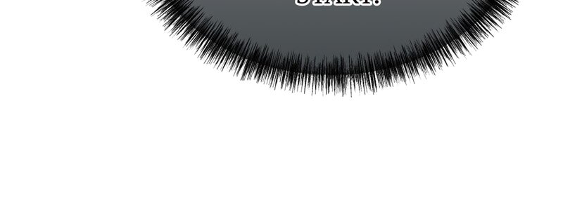 56316639 800 288 23038